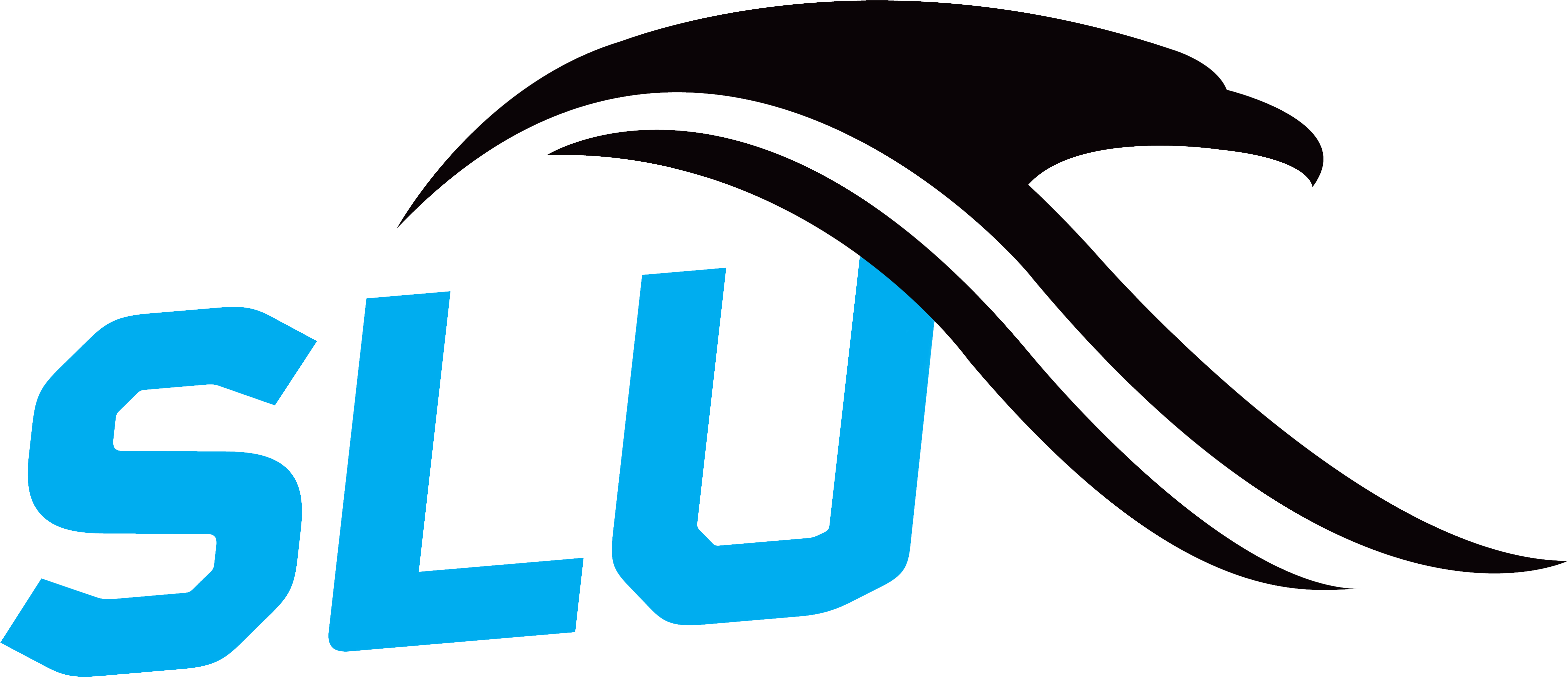 Dare 2 Share Partners - Student Leadership University Logo (4800x2400), Png Download