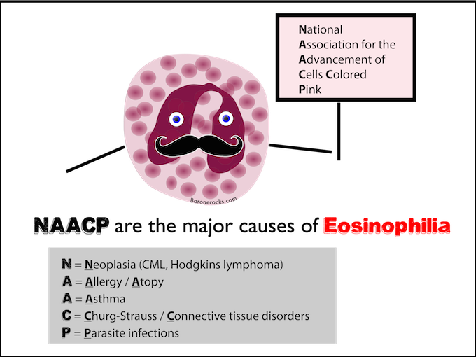 Naacp Mnemonic For The Major Causes Of Eosinophilia - Hematology Mnemonics (680x510), Png Download
