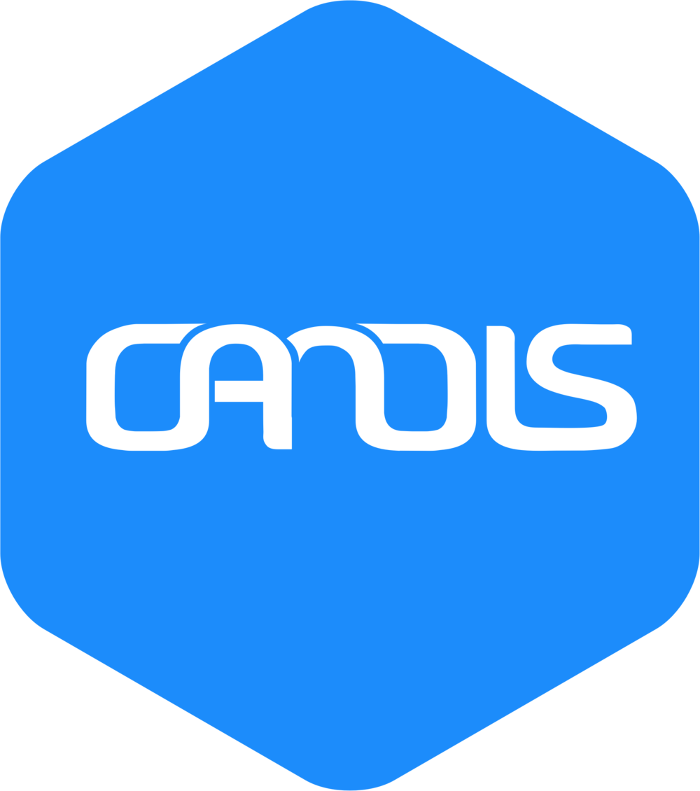 Candis Accounting (1000x1130), Png Download