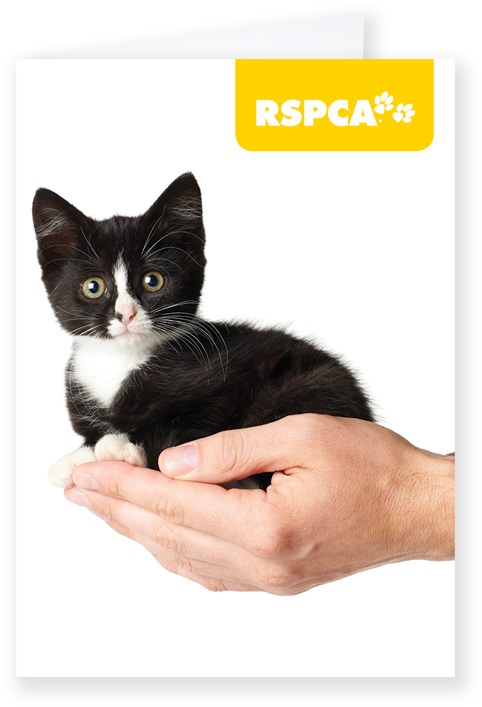 Freedom From Fear And Distress - Rspca (800x800), Png Download