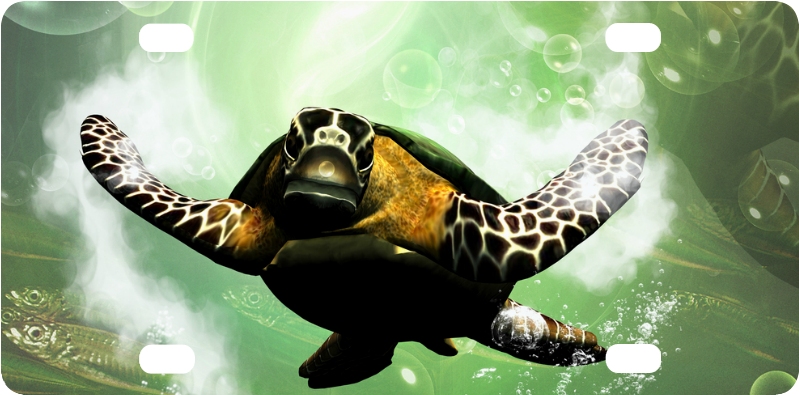 Hawksbill Sea Turtle (1000x1000), Png Download