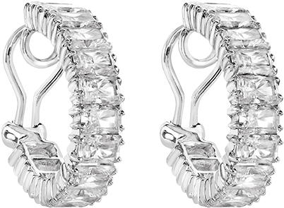 Hoop Earrings - Earrings (750x750), Png Download