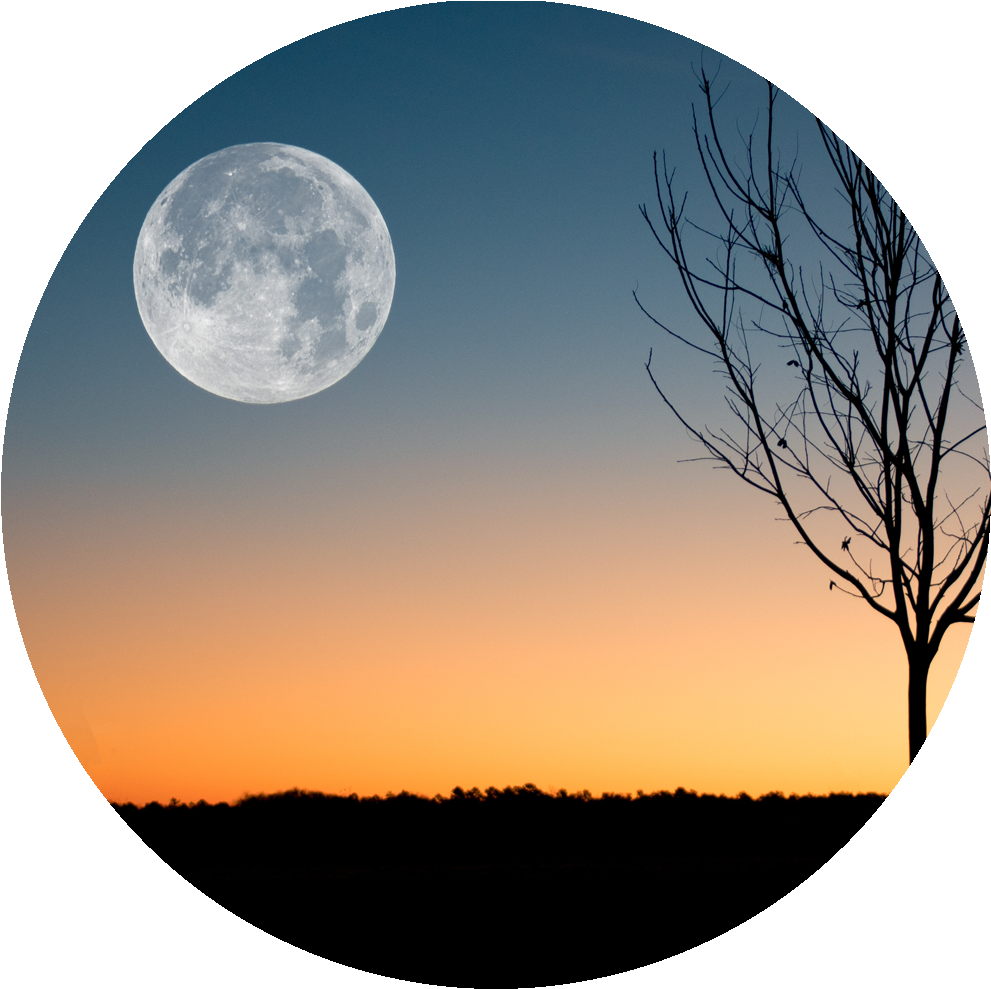 Because I'm Still In Love With You, On This Harvest - Moon (1000x1000), Png Download