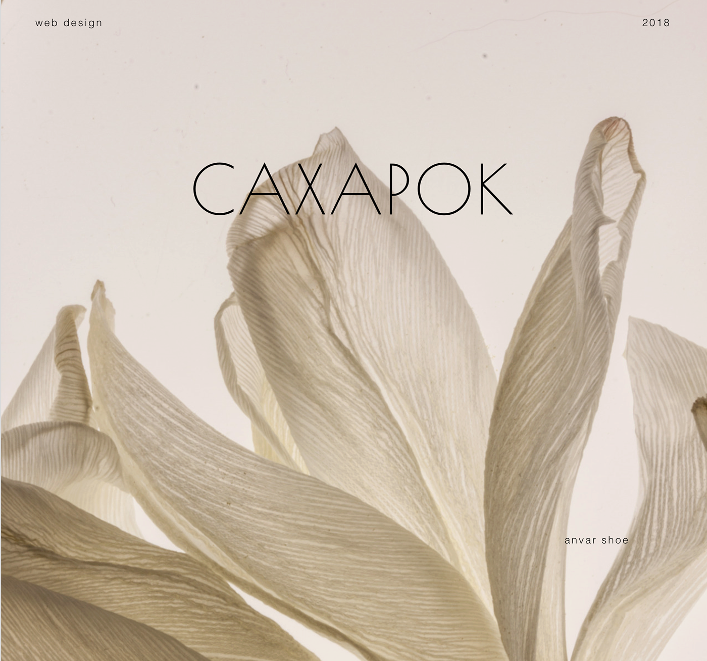 Webdesign Transparent Feather White Pictures Png Webdesign - Photography (1400x1308), Png Download