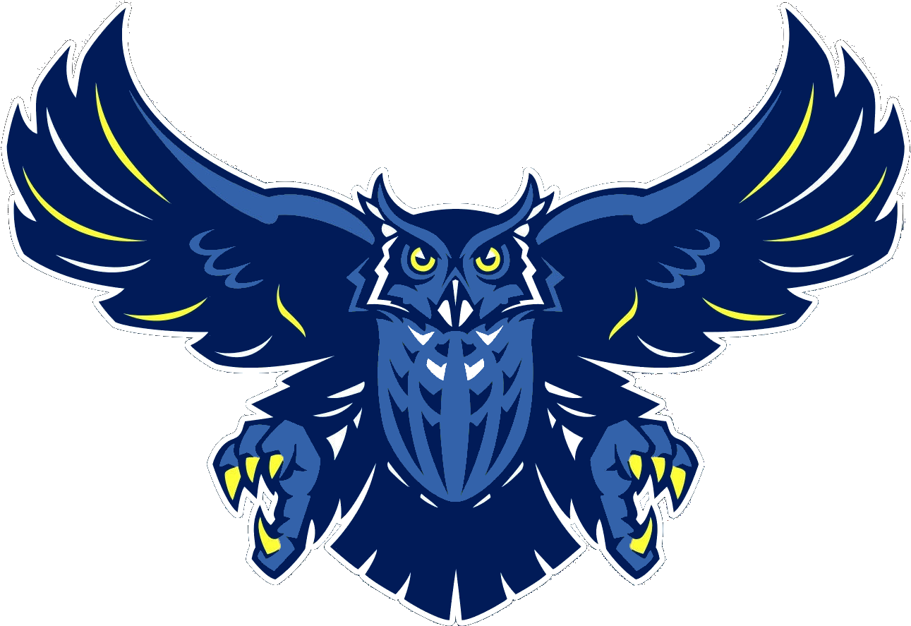 Download Blue Owl Png Rice Owls Full Size PNG Image PNGkit