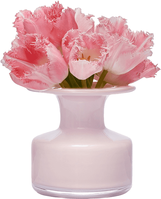 Vase (540x660), Png Download