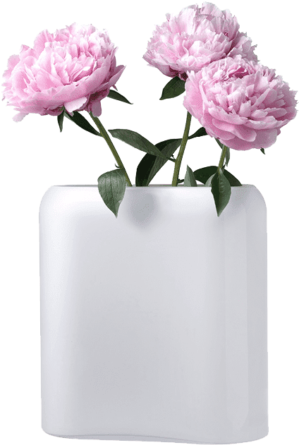 Living - Common Peony (540x660), Png Download