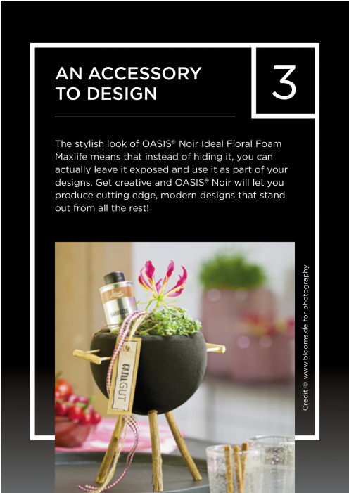 Oasis® Noir Ideal Floral Foam Maxlife Brick - Graphic Design (700x700), Png Download