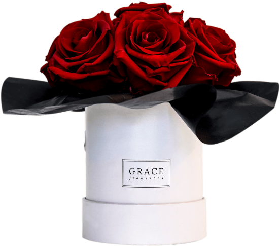 Red Bouquet - Garden Roses (569x600), Png Download