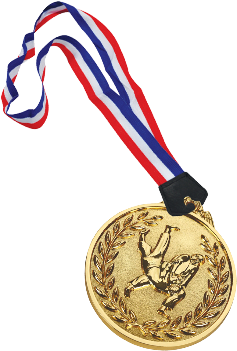 Judo Gold Medal - Gold Medal (800x1219), Png Download