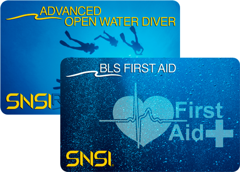 If You Are 16 Years Of Age Or Older And You Are A Certified - Underwater Diving (800x600), Png Download
