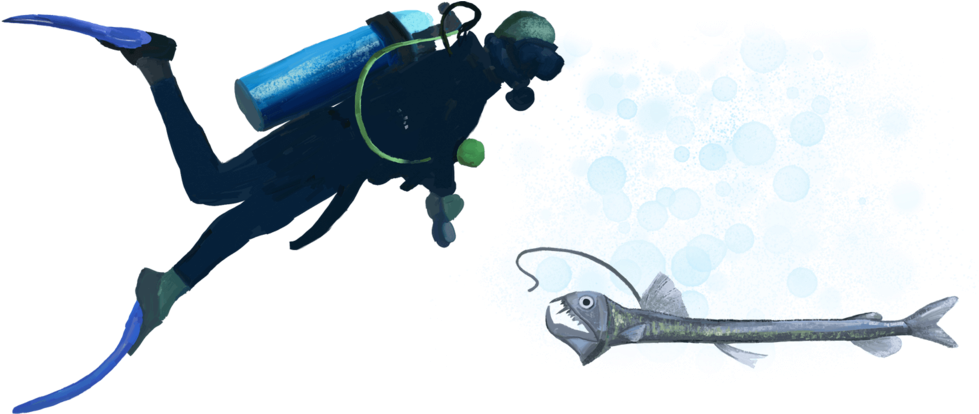 Dsd-diver - Illustration (1000x413), Png Download