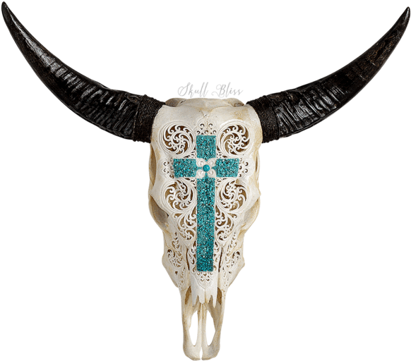 Bull (600x600), Png Download