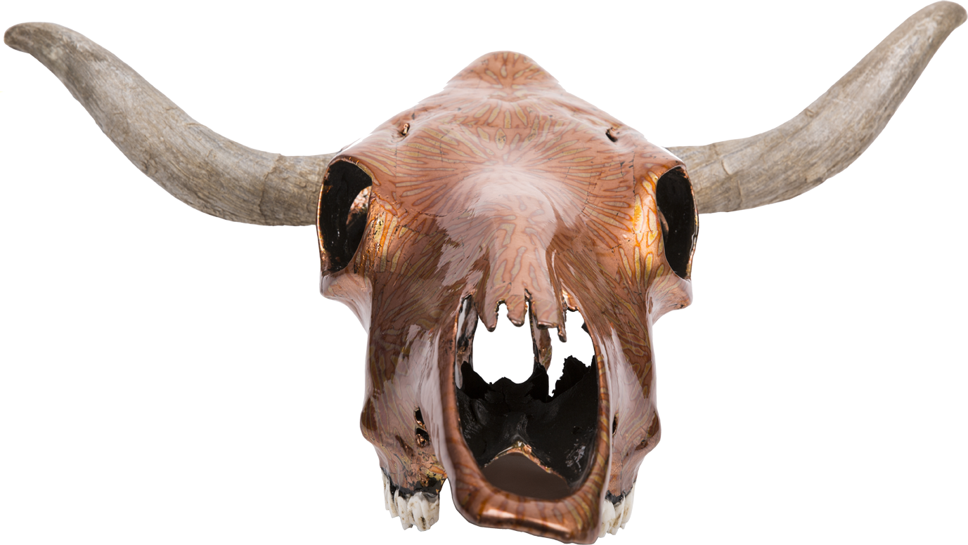 Steer Skull & Bone Root Stand - Horn (1377x776), Png Download
