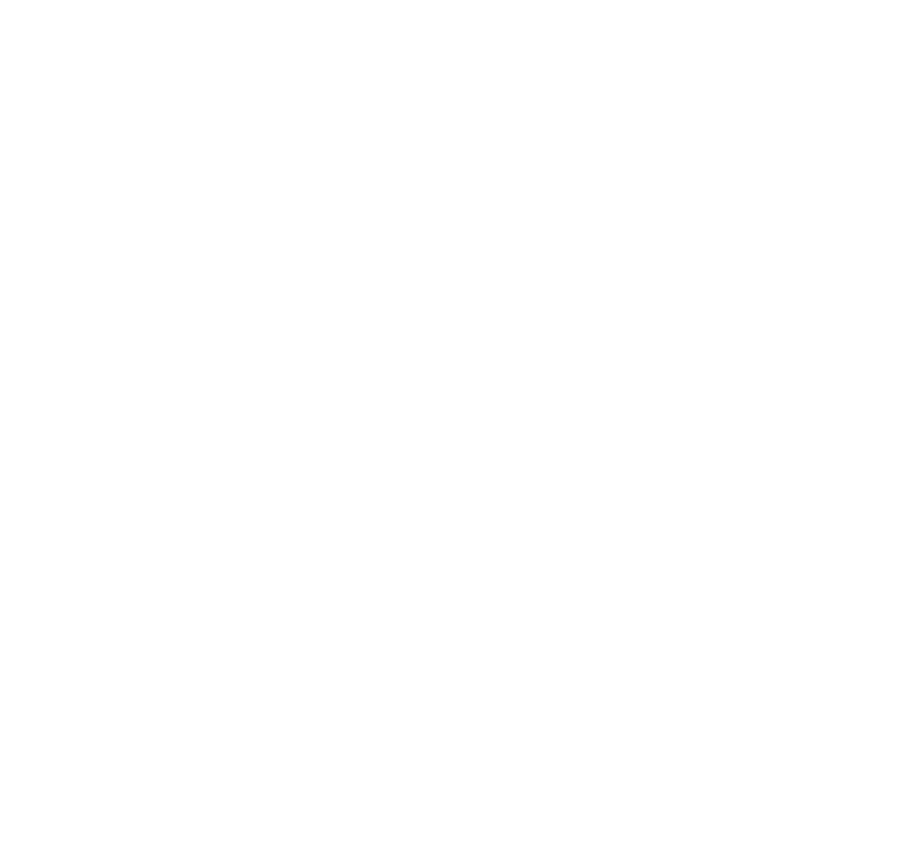 The Turtle Shape Is Filled With An Attractive Swirl - Shirt Design Florida Sea Turtle Company (858x782), Png Download