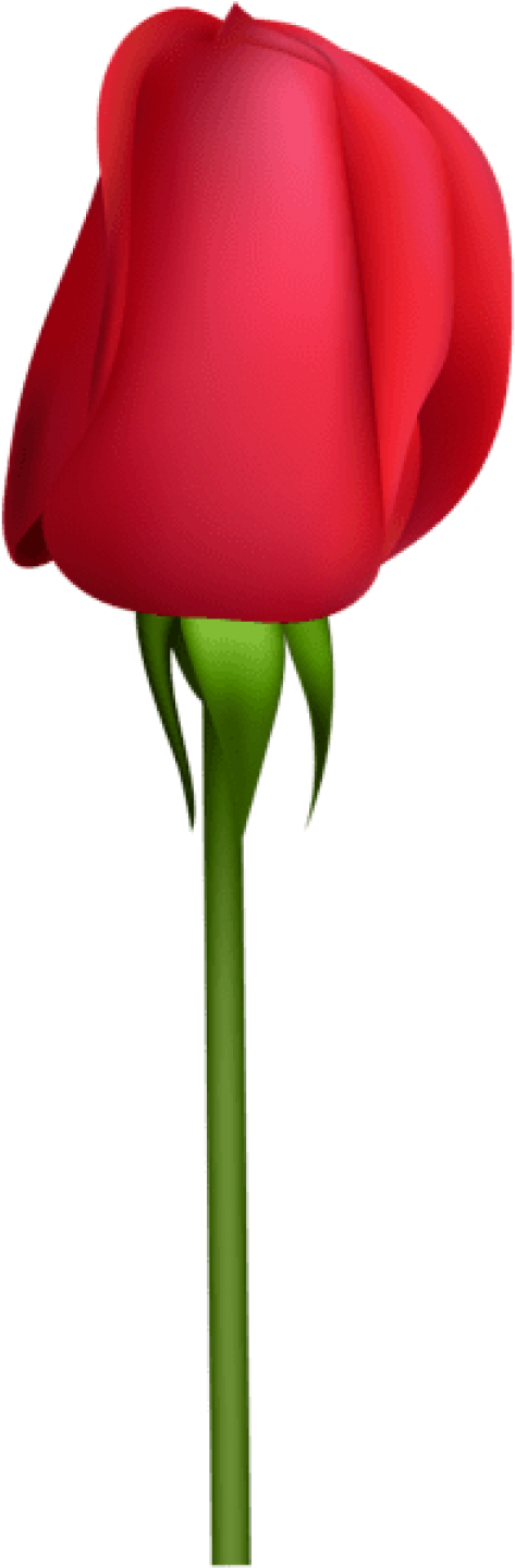 Free Png Download Rose Bud Transparent Png Images Background - Bud Clipart (480x1448), Png Download