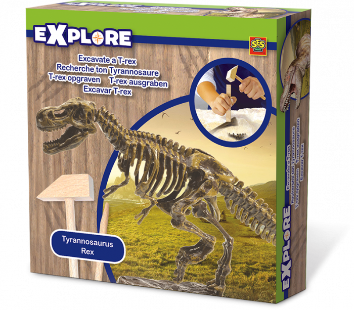 Explore Excavate A T-rex - Tyrannosaurus Rex Kosti (700x613), Png Download