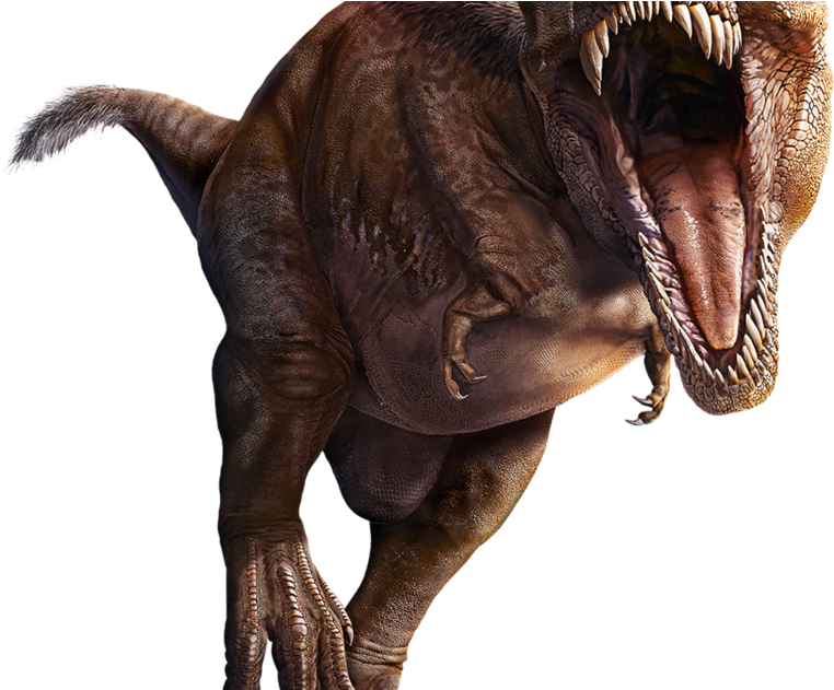 Velociraptor (1200x630), Png Download
