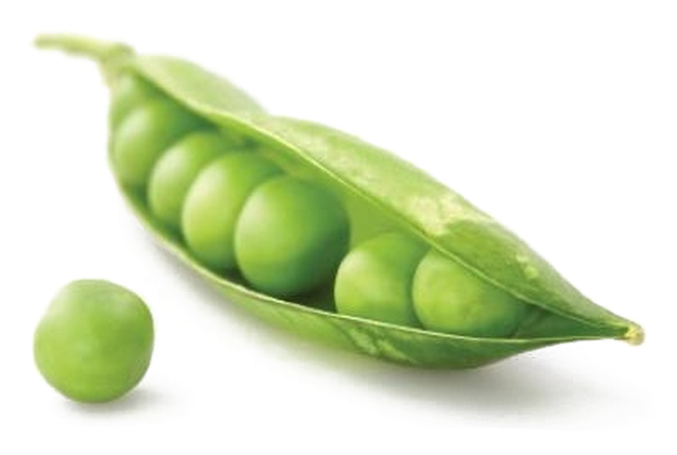 Pea Png Image - Pea (1115x720), Png Download