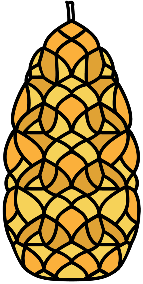 Pinecone (1060x1297), Png Download