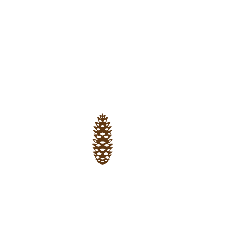 Pinecone Records Pinecone Records - Graphic Design (1000x1001), Png Download