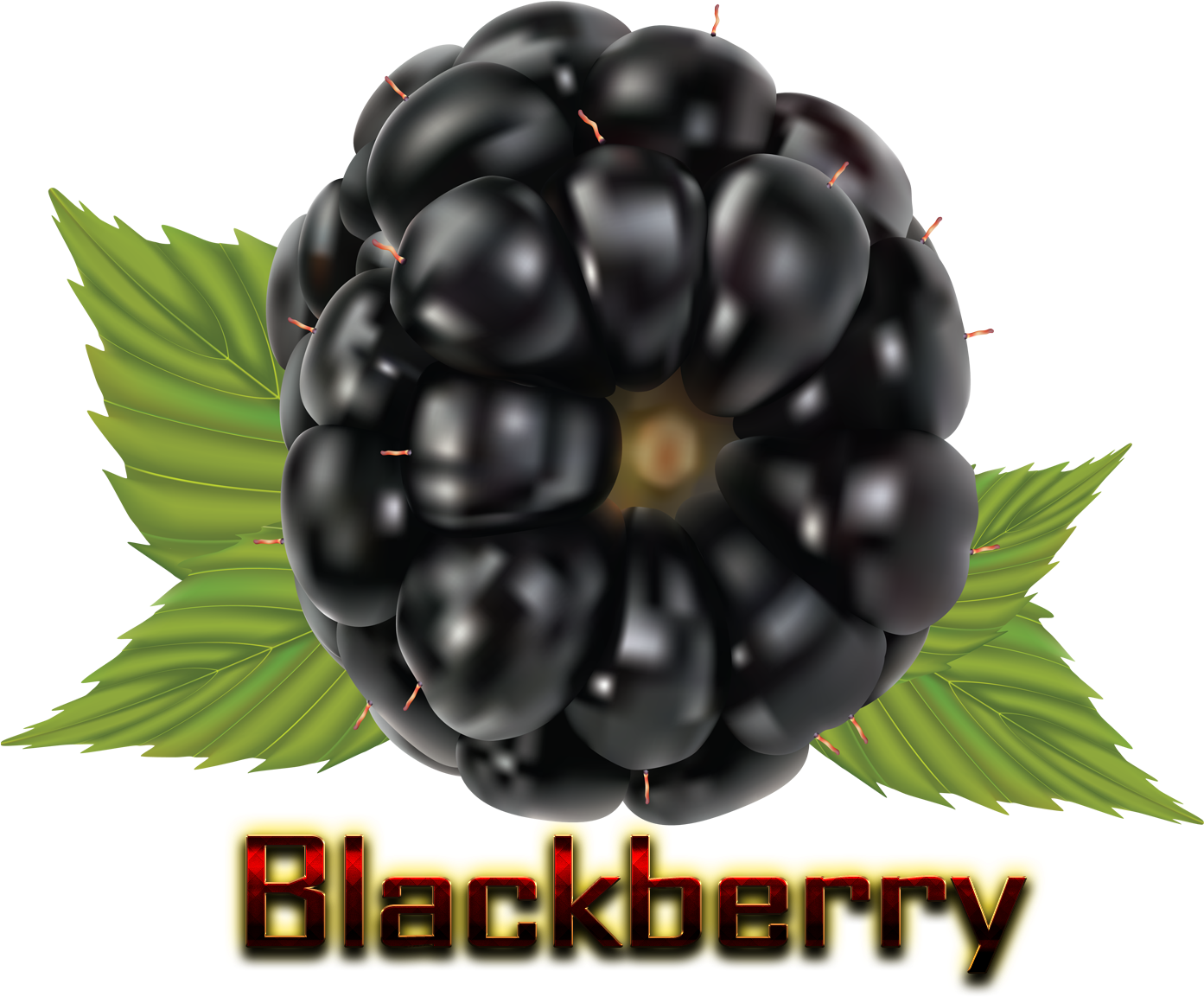 Set Of 5 Fruits (1920x1200), Png Download