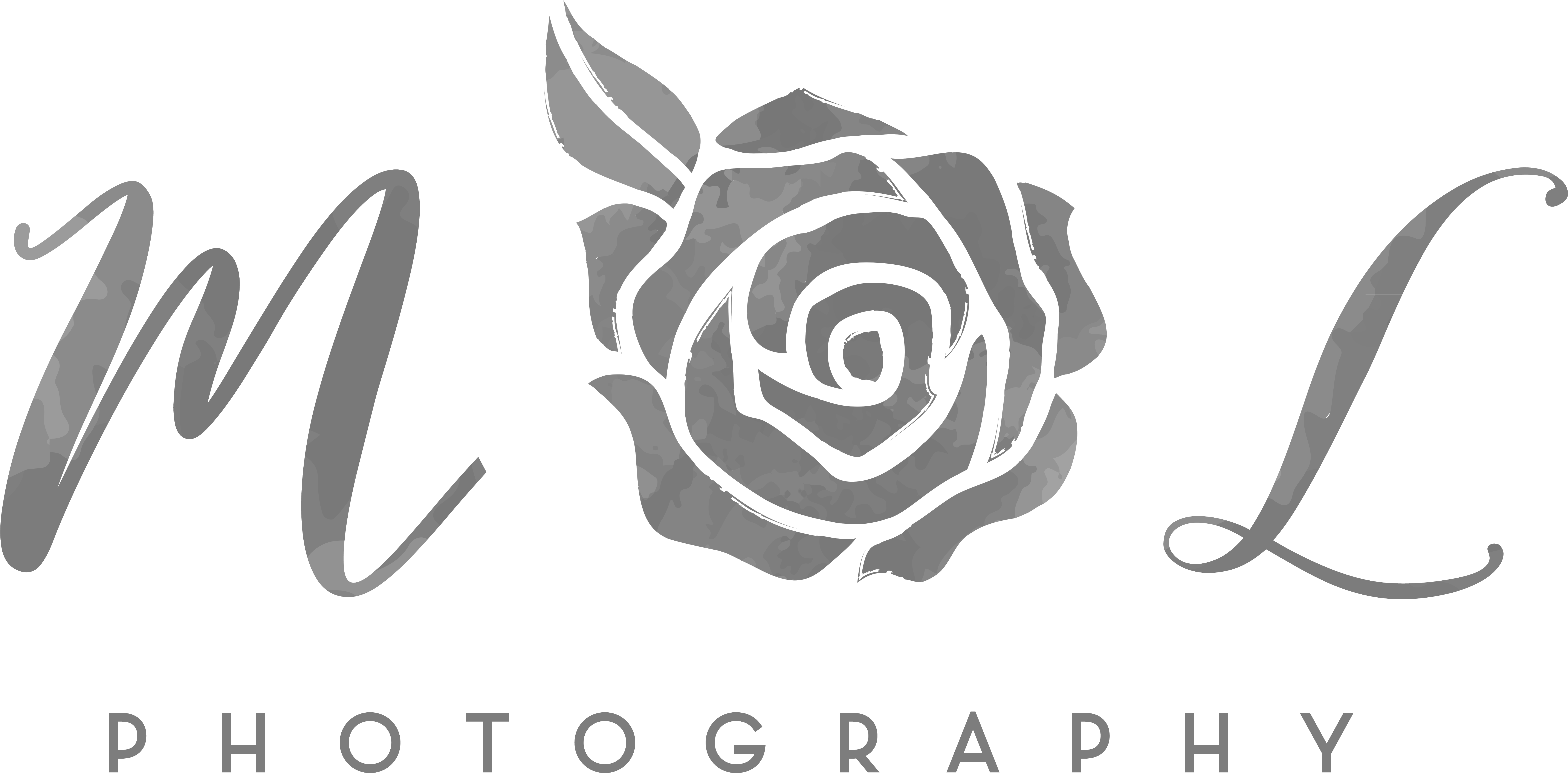 Ml Icon Grey Ombre - Garden Roses (7300x3651), Png Download