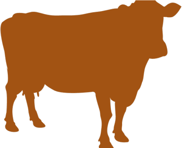 Cattle (640x480), Png Download