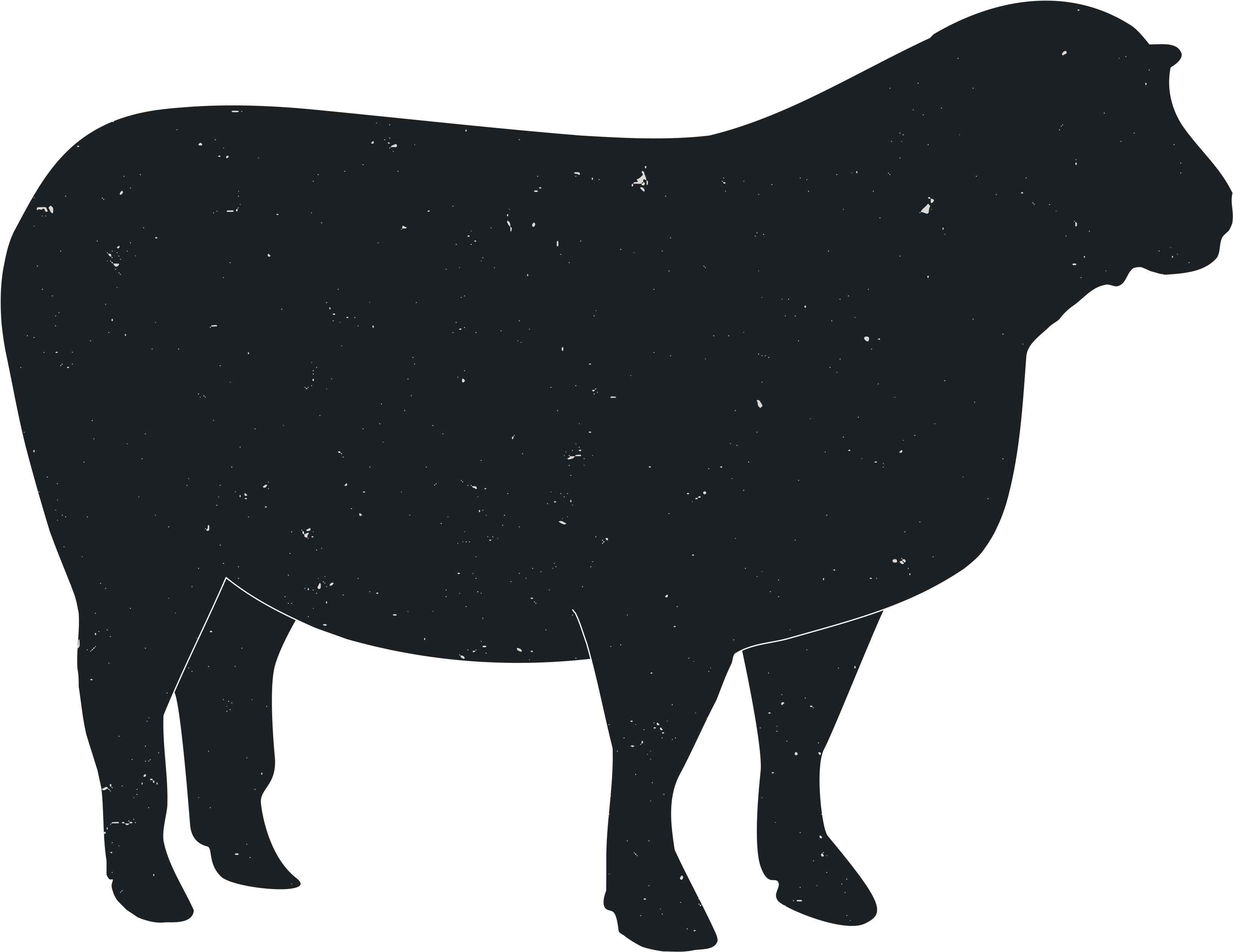Cattle Silhouette Animal Silhouettes Transprent Png - Buey Png Silueta (3600x3600), Png Download