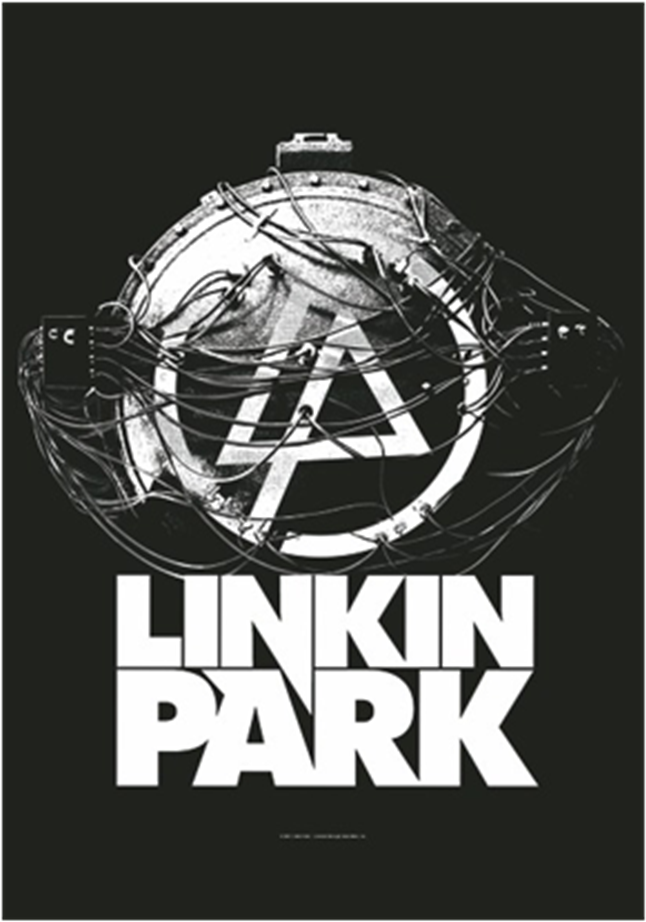 Img - Linkin Park Lead Singer Young (1000x1000), Png Download