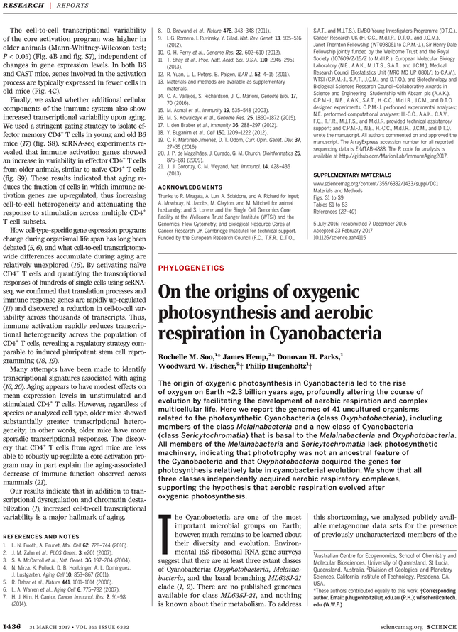 Back Issues - Discovery Of Achilles On Skyros (729x929), Png Download