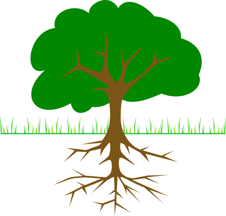 Roots Clipart Tall Tree Stump - Root Cause (752x720), Png Download