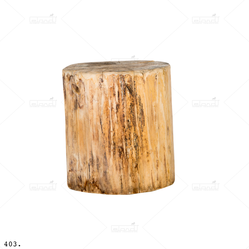 Tronc D Arbre Png (800x800), Png Download