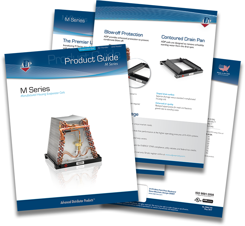 Picture - Flyer (900x878), Png Download
