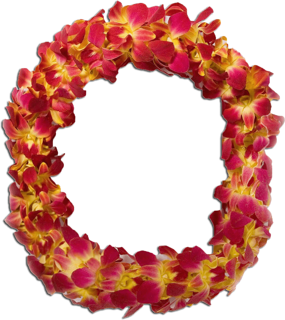 Double Orch - Circle (1017x1132), Png Download