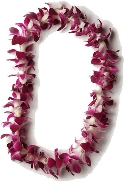 Single Orch - Single Orchid Lei (500x640), Png Download