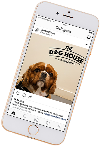 Insta 2 - Puggle (697x697), Png Download