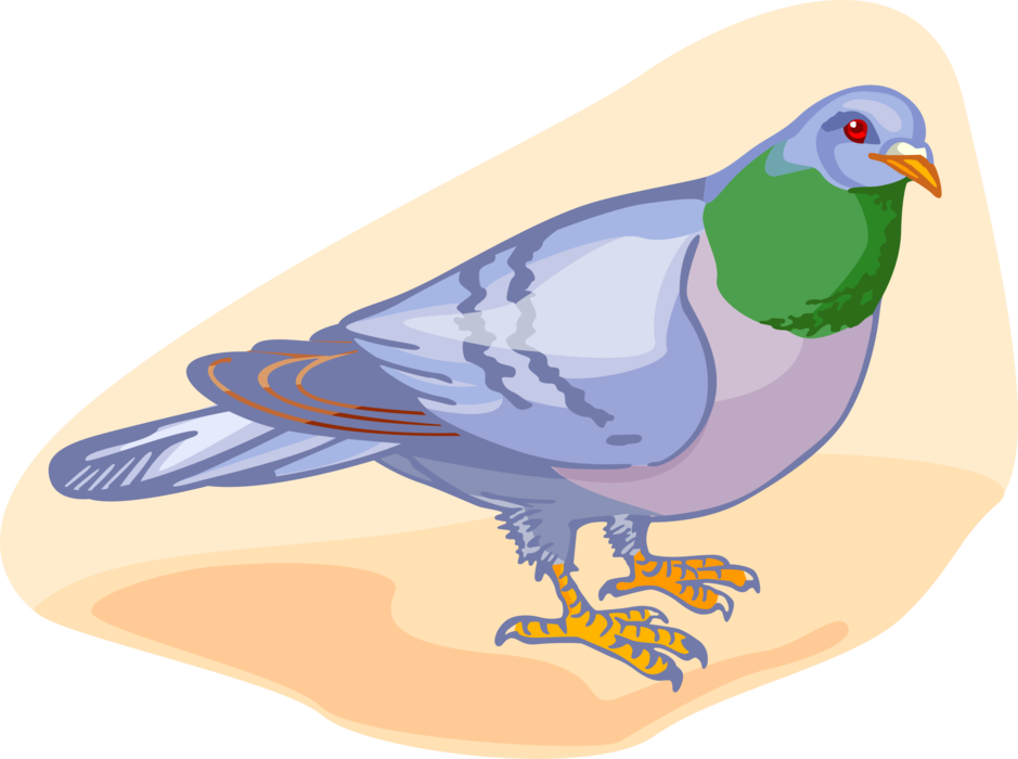Vector Illustration Of Feathered Vertebrate Pigeon - Partridge (939x700), Png Download