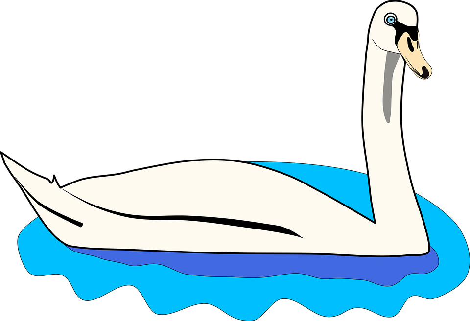 Water Bird Vector Graphics - Clipart Swan (960x656), Png Download