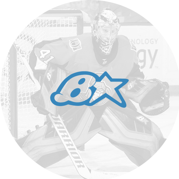 Brians Custom Goalie Gear - Goaltender (594x594), Png Download