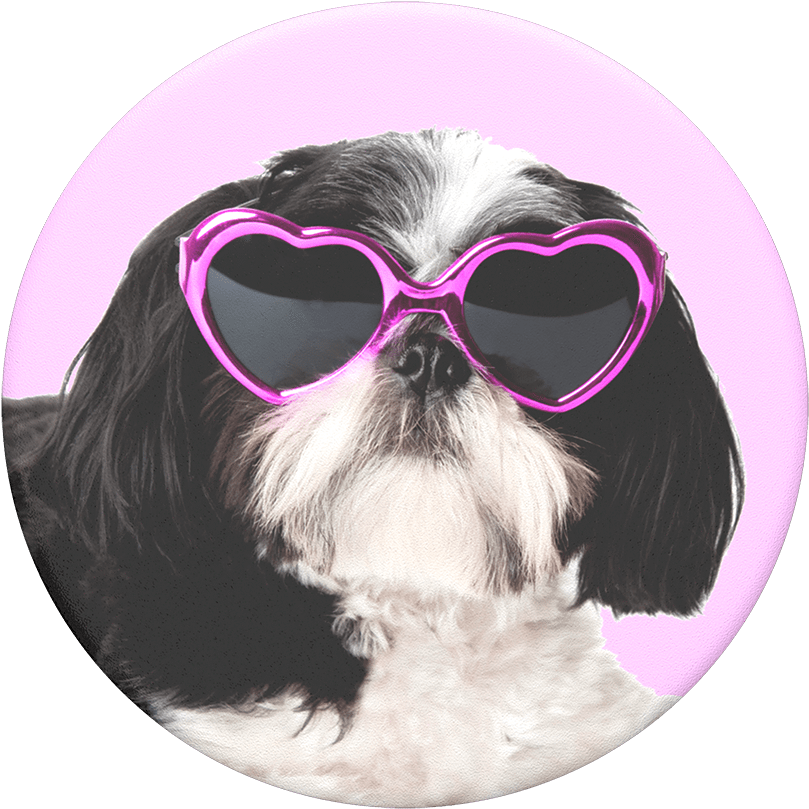 Sassy Shih Tzu, Popsockets - Shih Tzu (1000x1000), Png Download