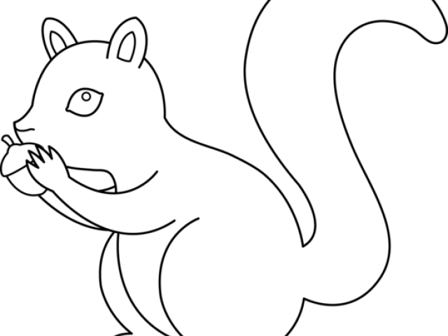 Gray Squirrel Clipart Nut - Drawing (640x480), Png Download
