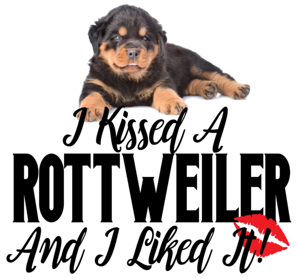 Companion Dog (600x574), Png Download