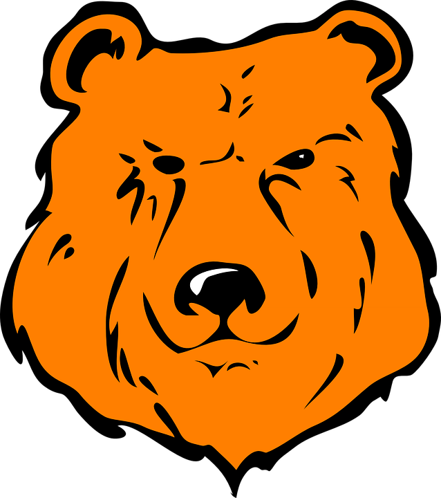 Cartoon Bear Head - Cartoon Grizzly Bear Face (638x720), Png Download
