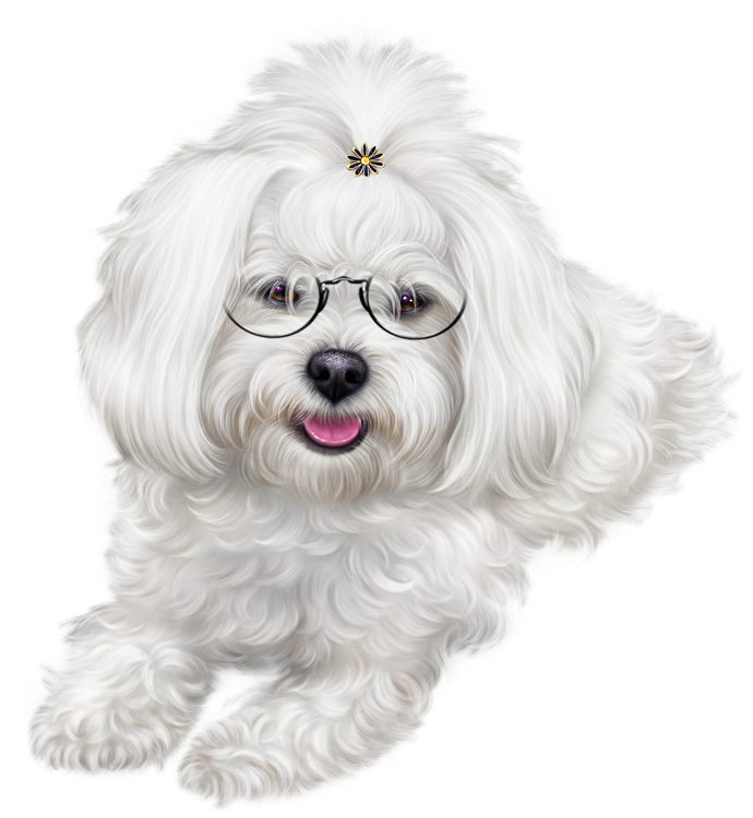 Puppy Clipart Maltipoo - Christmas Puppy Images Clipart (726x800), Png Download