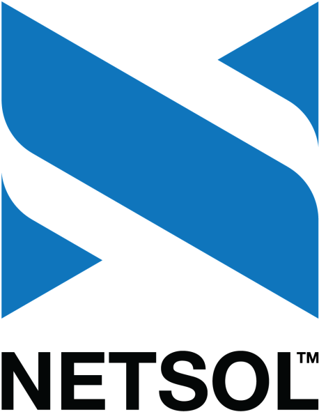 New Logo Opt - Netsol Technologies Logo (500x635), Png Download