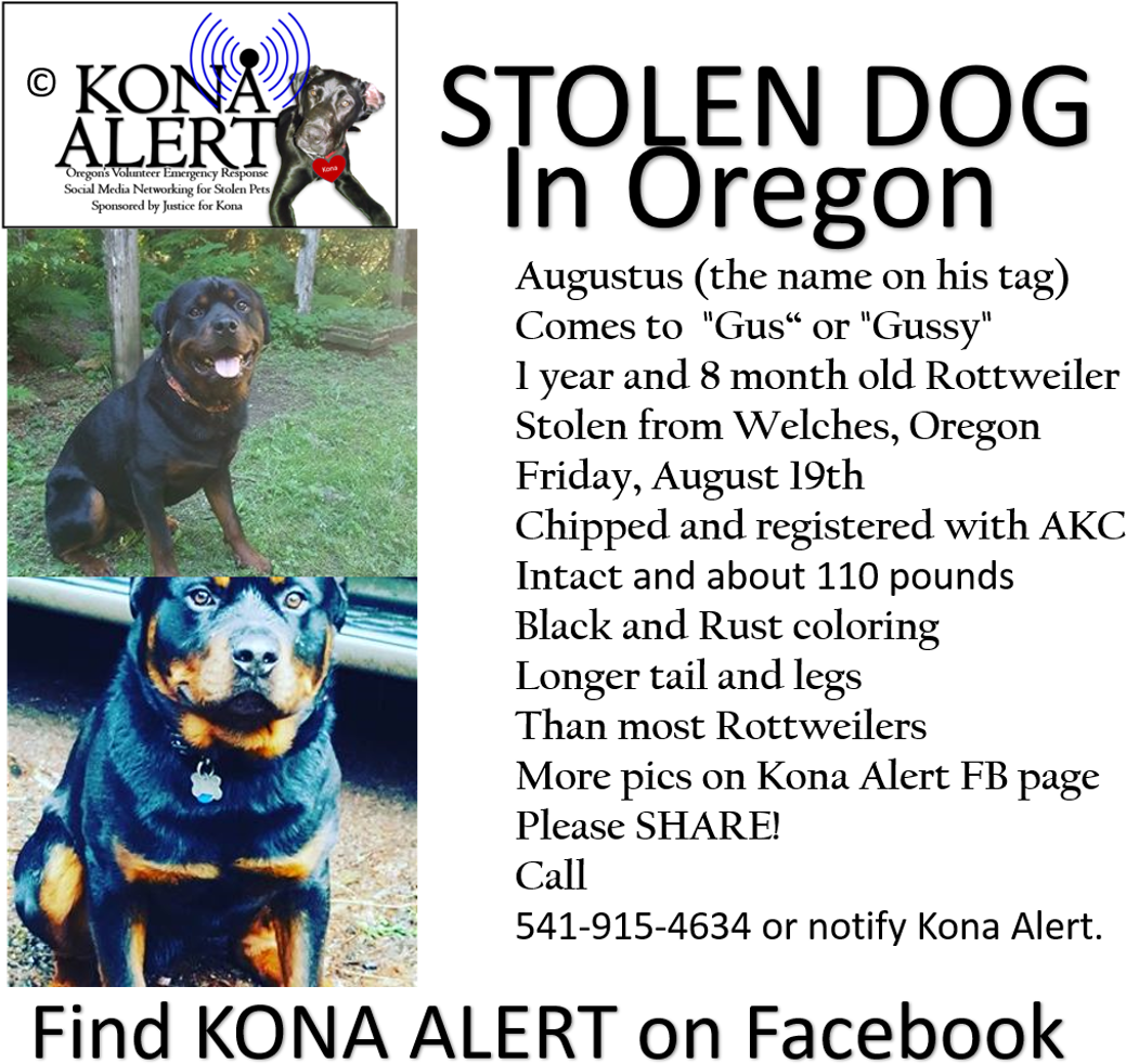 Carlisle College - Ancient Dog Breeds (1039x982), Png Download