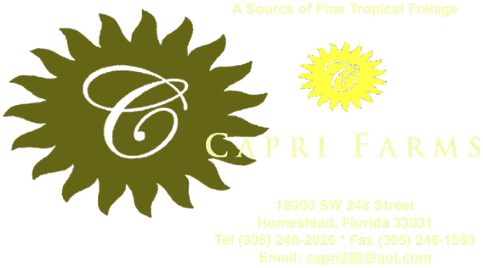 Cropped 600 Full Sun Header For Website Fotoflexer - Logo De Precio De Oferta (1000x573), Png Download