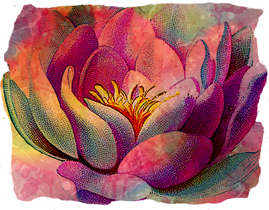 Textured Lotus - Sacred Lotus (936x729), Png Download