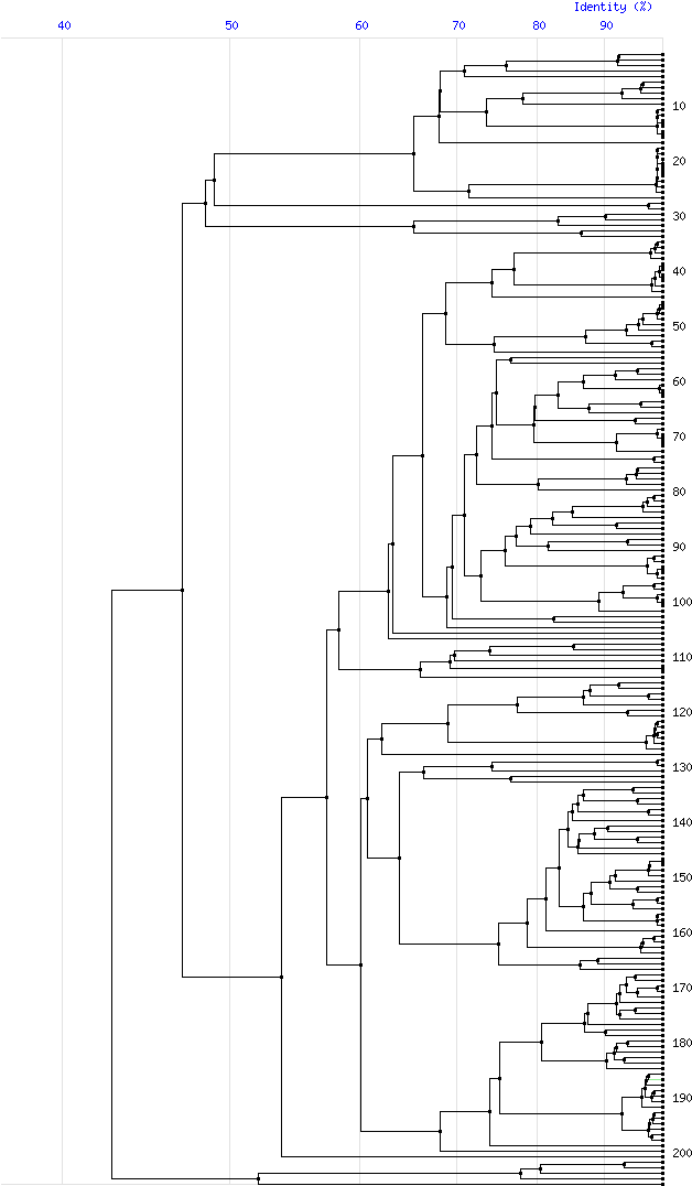 Tree For Family S6 - Diagram (800x1130), Png Download